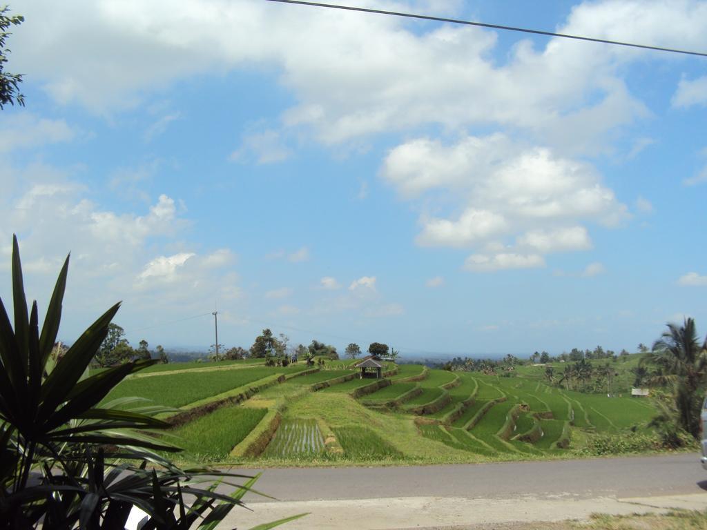 Ferienwohnung Teras Subak Jatiluwih Exterior foto